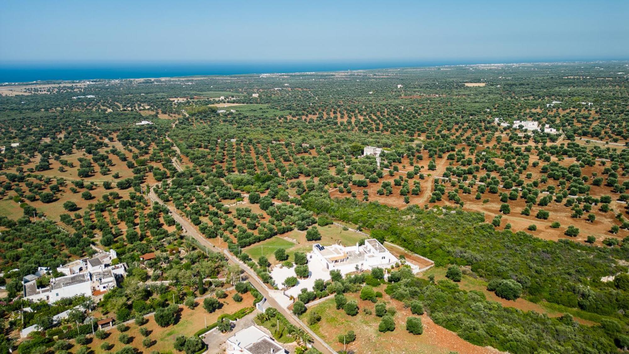 Masseria Abadia Uno 奥斯图尼 外观 照片