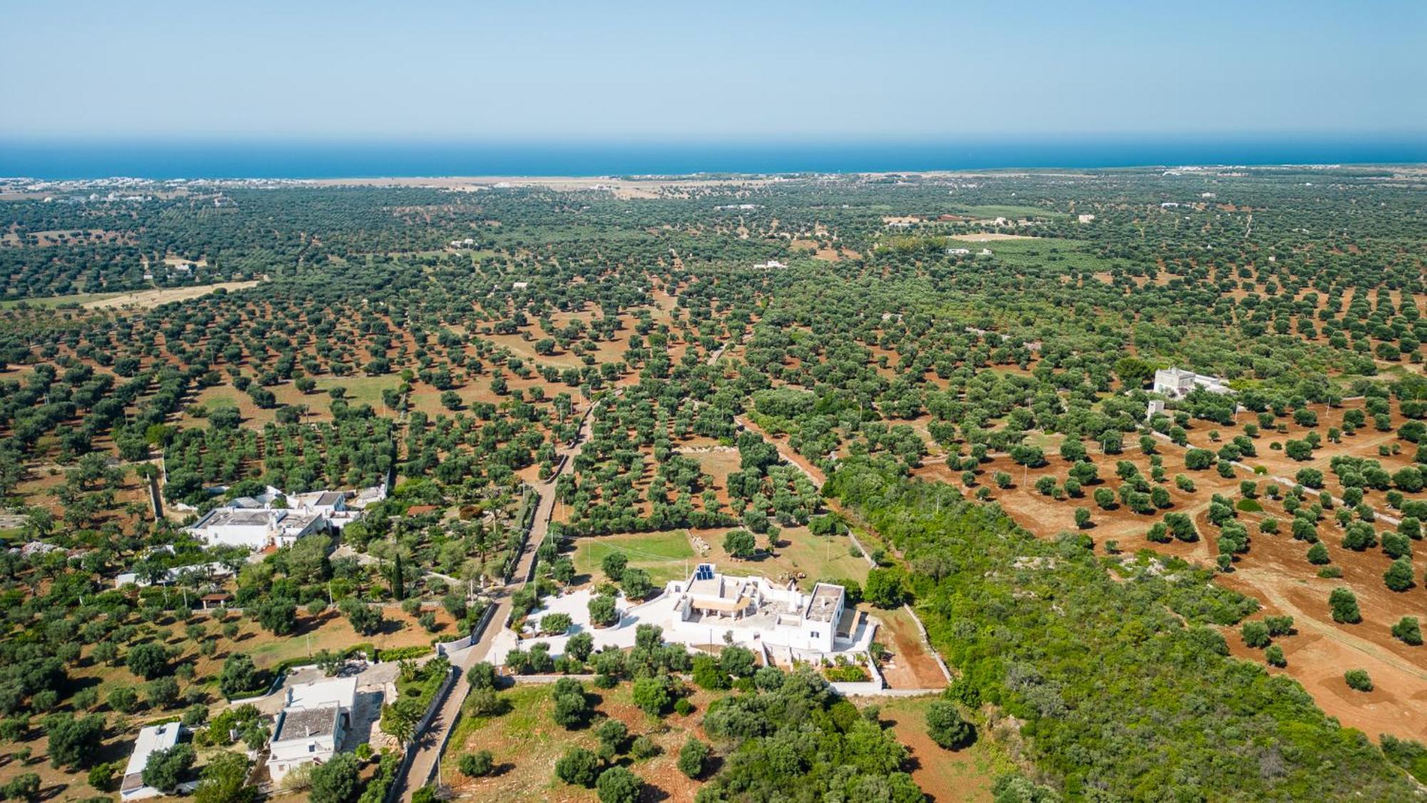 Masseria Abadia Uno 奥斯图尼 外观 照片